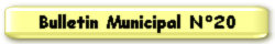 Bulletin Municipal N°20