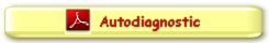 Autodiagnostic